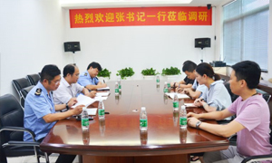 熱烈歡迎張書記一行蒞臨居然之家安徽分公司合肥長江東路店調(diào)研指導(dǎo)！