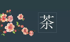 居然之家宜昌店業(yè)務部開展關(guān)于茶藝知識培訓