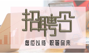 服務商戶，致力發(fā)展&mdash;安徽分公司合肥濱湖店攜手優(yōu)質(zhì)商戶人才招聘會 